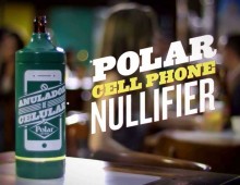 Polar Cell Phone Nullifier