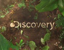 Discovery Latam Rebrand